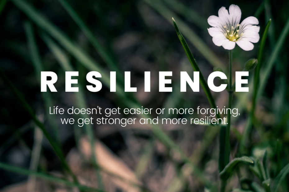 Building Resilience in Adult Education